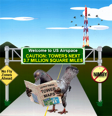 Tower Bird Kills